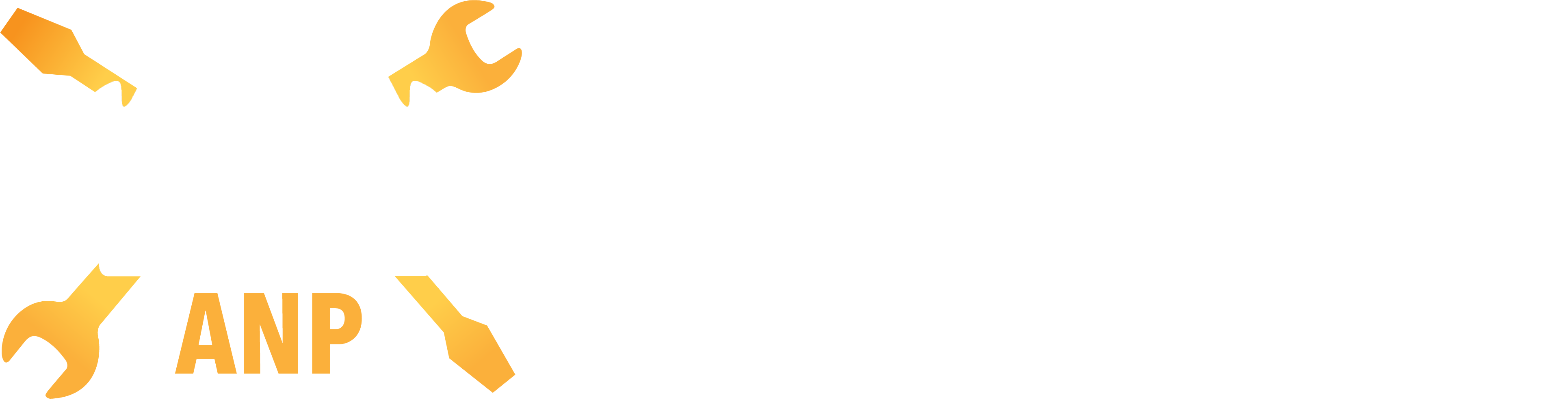 Auto Naprawa Poznań ANP servis